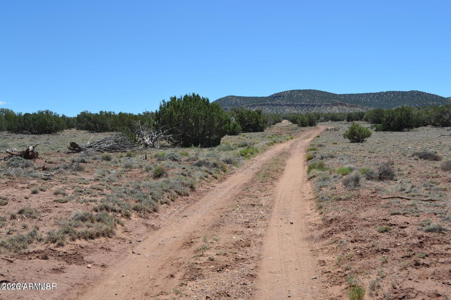 TBD N8604 1, Concho, AZ 85924 — Photo 1 of 8