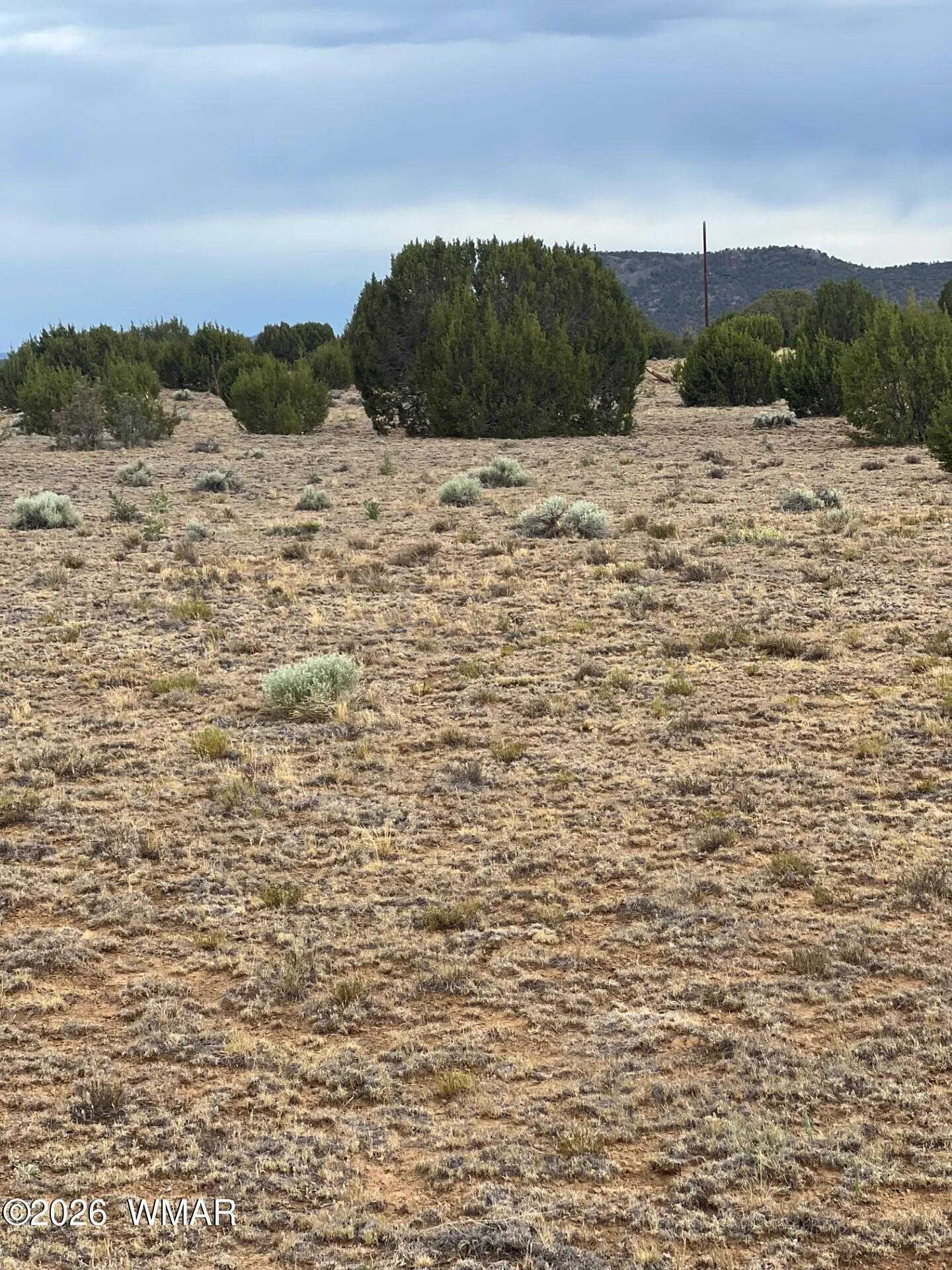 TBD 8206, Concho, AZ 85924 — Photo 1 of 12