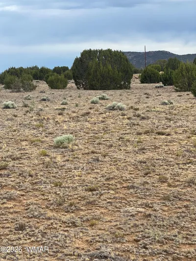 TBD 8206, Concho, AZ 85924