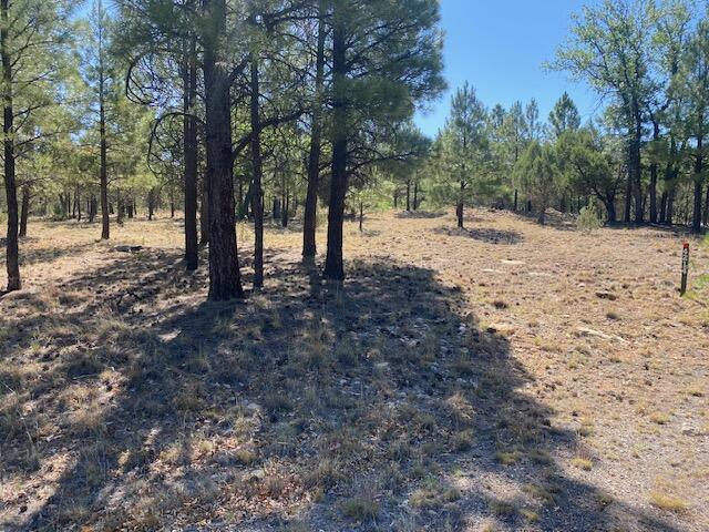 4214 Juniper Drive, Happy Jack, AZ 86024 — Photo 1 of 16