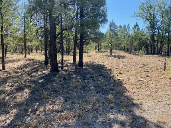 4214 Juniper Drive, Happy Jack, AZ 86024