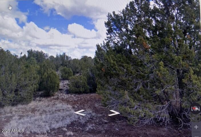 8426 Silver Creek Drive 1, Show Low, AZ 85901 — Photo 1 of 9