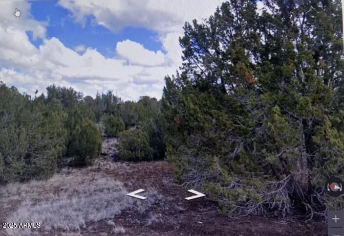 8426 Silver Creek Drive 1, Show Low, AZ 85901 — Photo 1 of 9