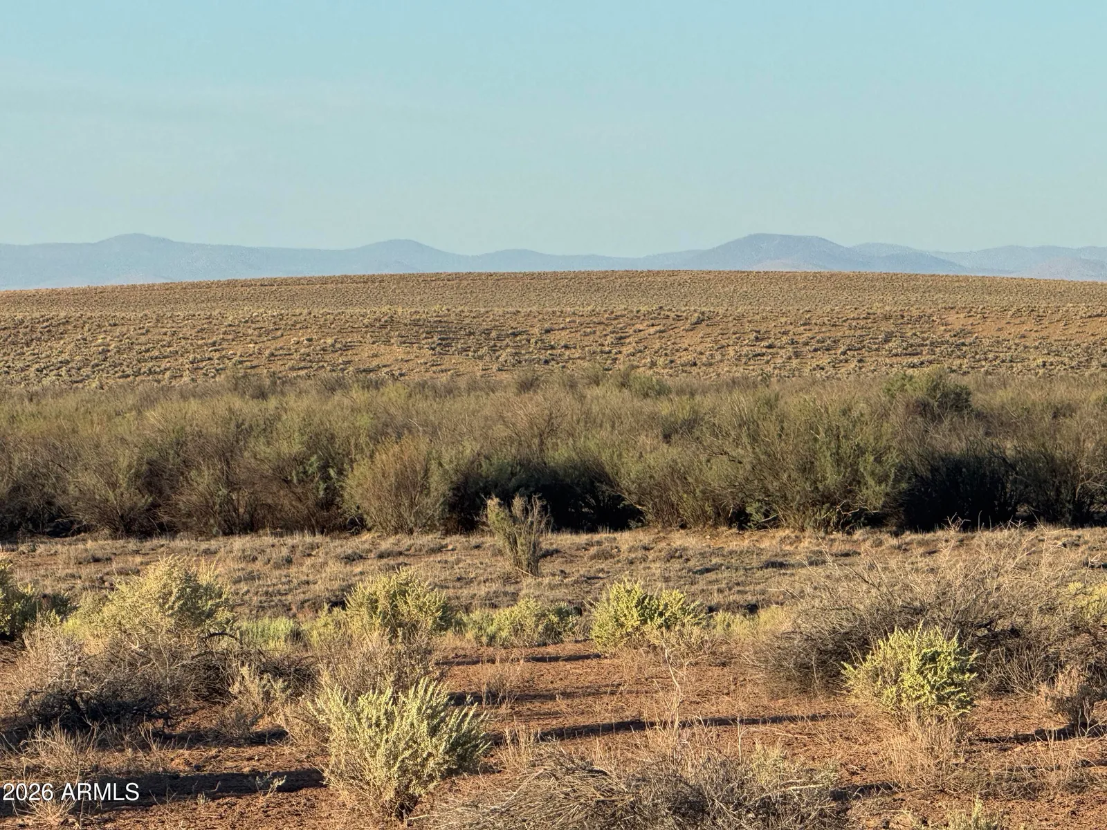 Lot 445 Carrizo Ranch 445, St Johns, AZ 85936 — Photo 1 of 17