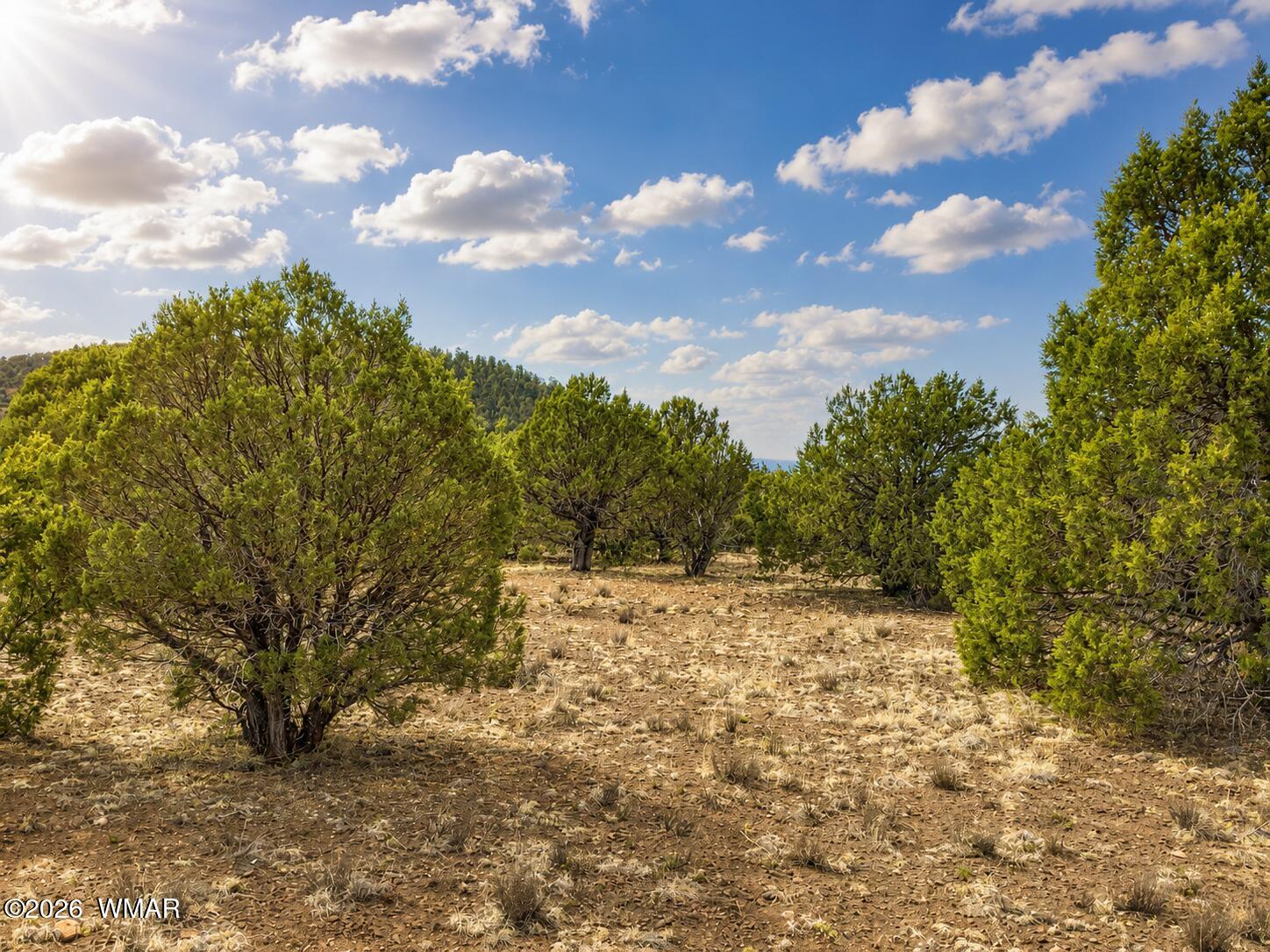 15 County Road 3180, Vernon, AZ 85940 — Photo 1 of 6