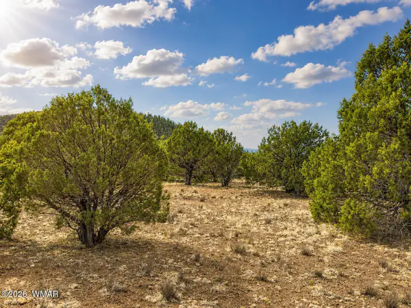 15 County Road 3180, Vernon, AZ 85940