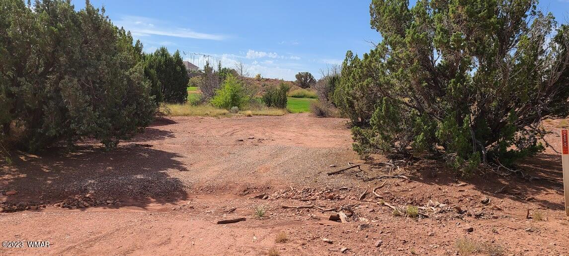 1881 W Sandtrap Lane, Snowflake, AZ 85937 — Photo 1 of 6