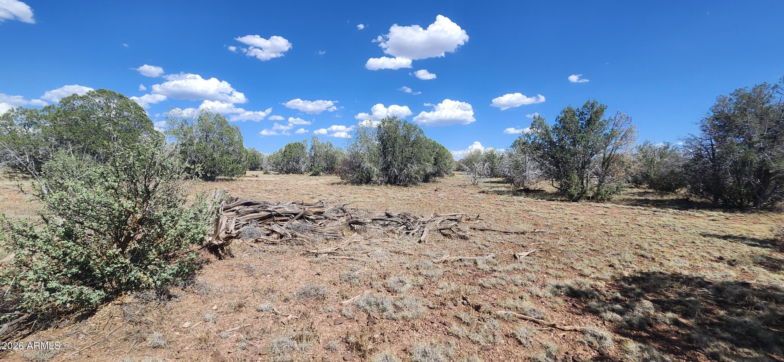 Parcel B N Cienega '''-''', Williams, AZ 86046 — Photo 1 of 7