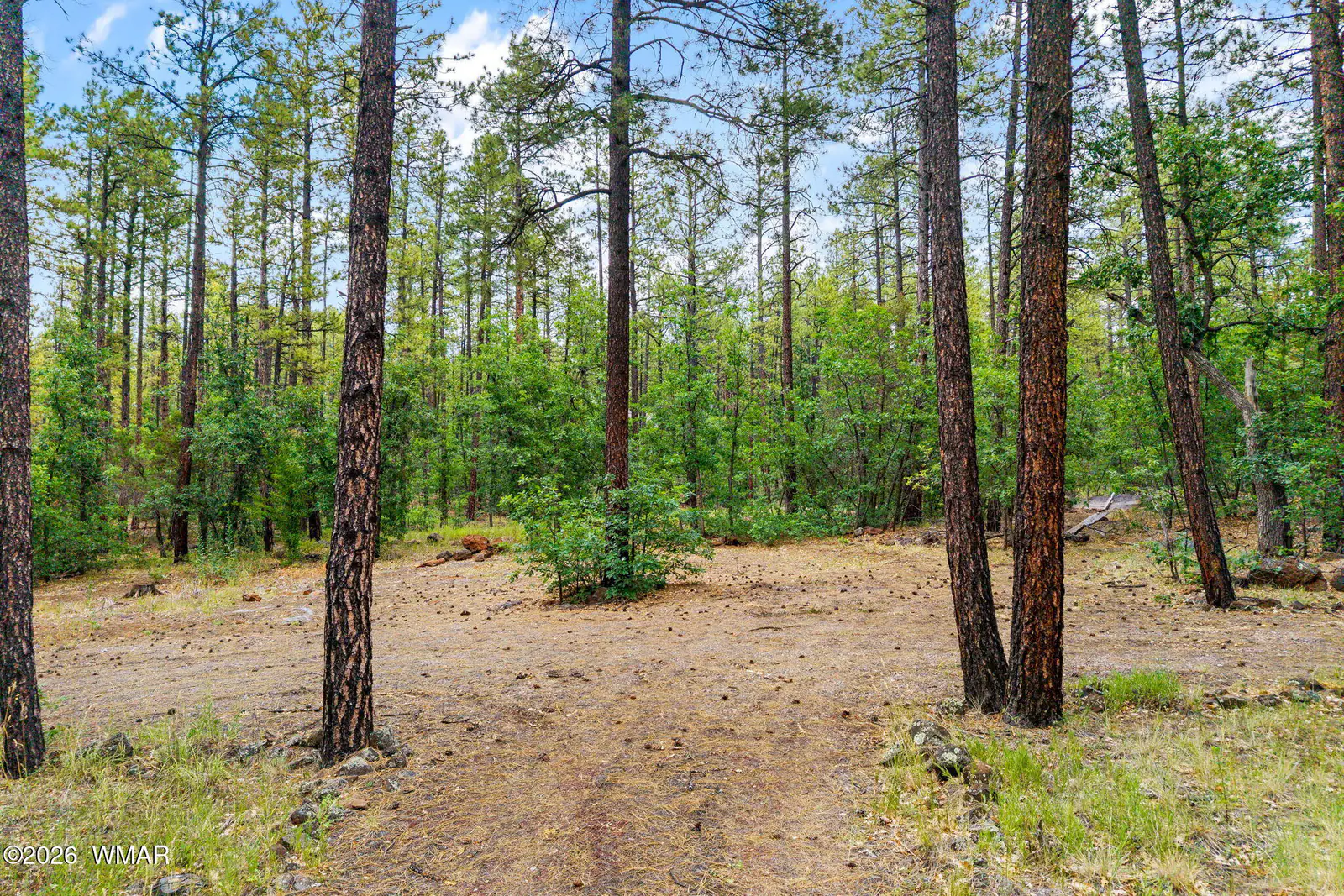 2094 Brown Bear Loop, Pinetop, AZ 85935 — Photo 1 of 19