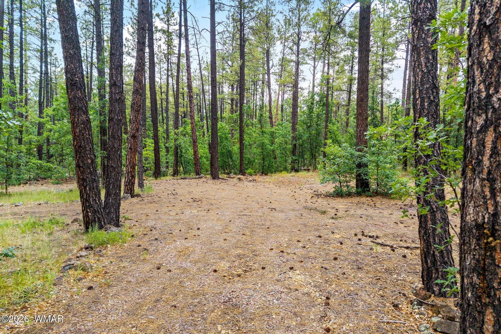 2094 Brown Bear Loop, Pinetop, AZ 85935 — Photo 1 of 19