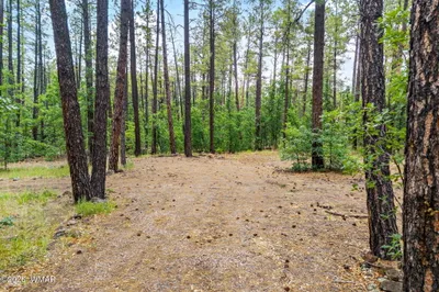 2094 Brown Bear Loop, Pinetop, AZ 85935