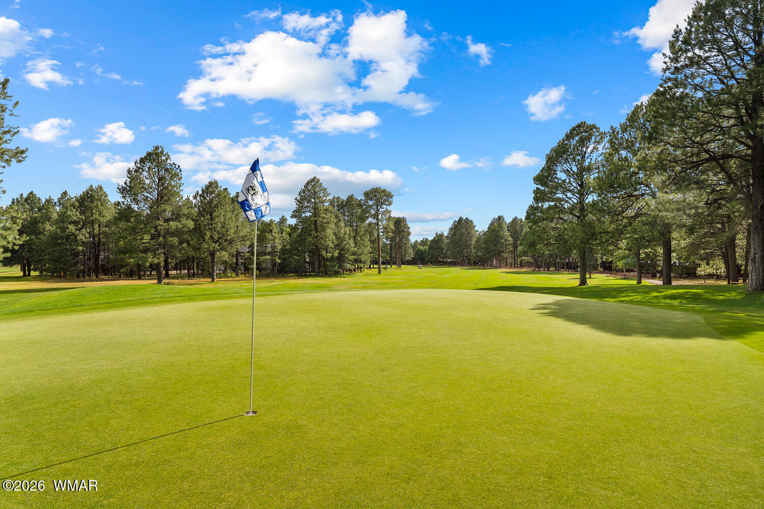 3194 Viking Trail, Pinetop, AZ 85935 — Photo 1 of 19