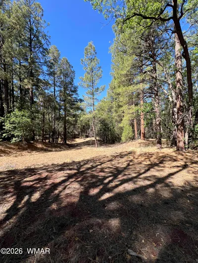1279 Twin Oaks, Lakeside, AZ 85929