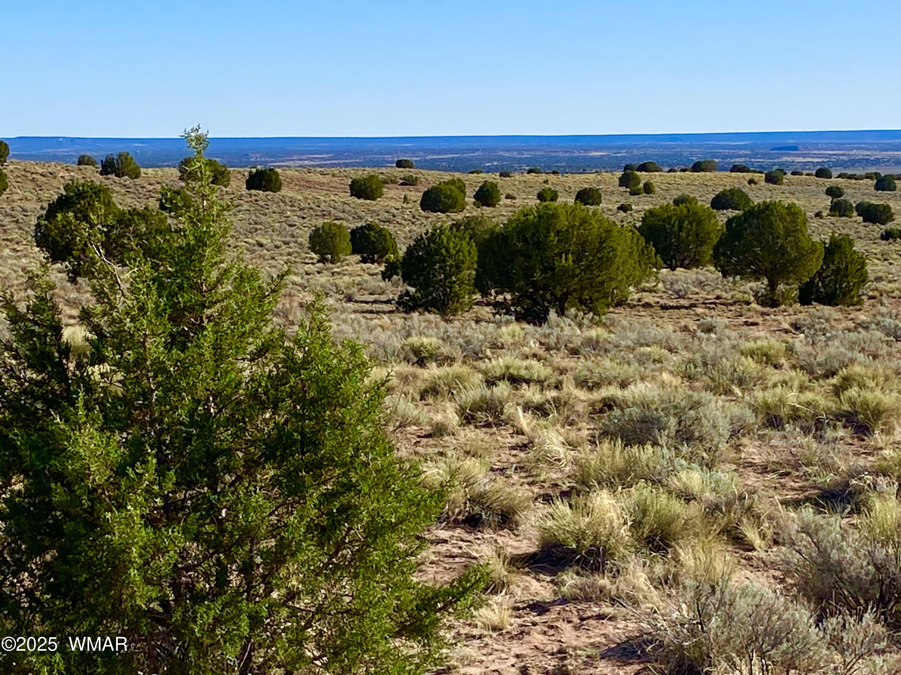 River Meadows Ranch Unit 3 Lot 204, Concho, AZ 85924 — Photo 1 of 22