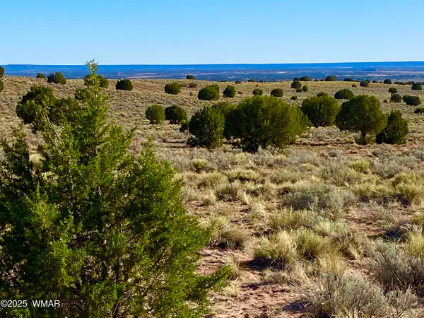 River Meadows Ranch Unit 3 Lot 204, Concho, AZ 85924