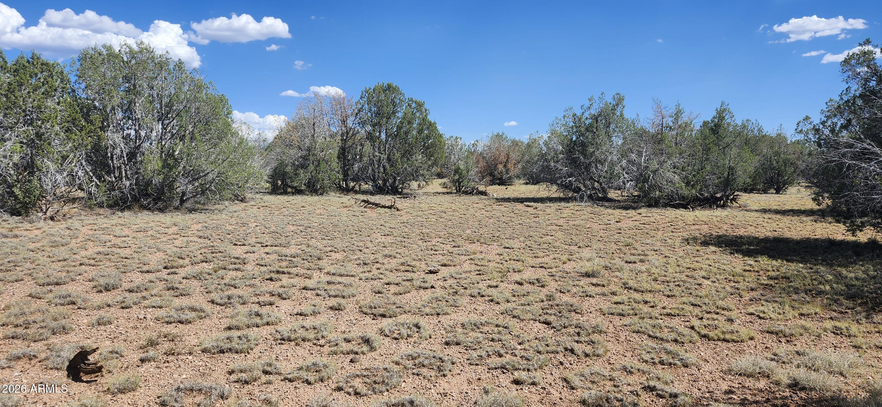 2901 N Cienega Drive A, Ash Fork, AZ 86320 — Photo 1 of 9