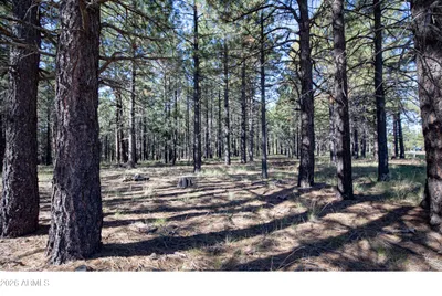 1924 QUILT COUNTRY Drive 781, Forest Lakes, AZ 85931