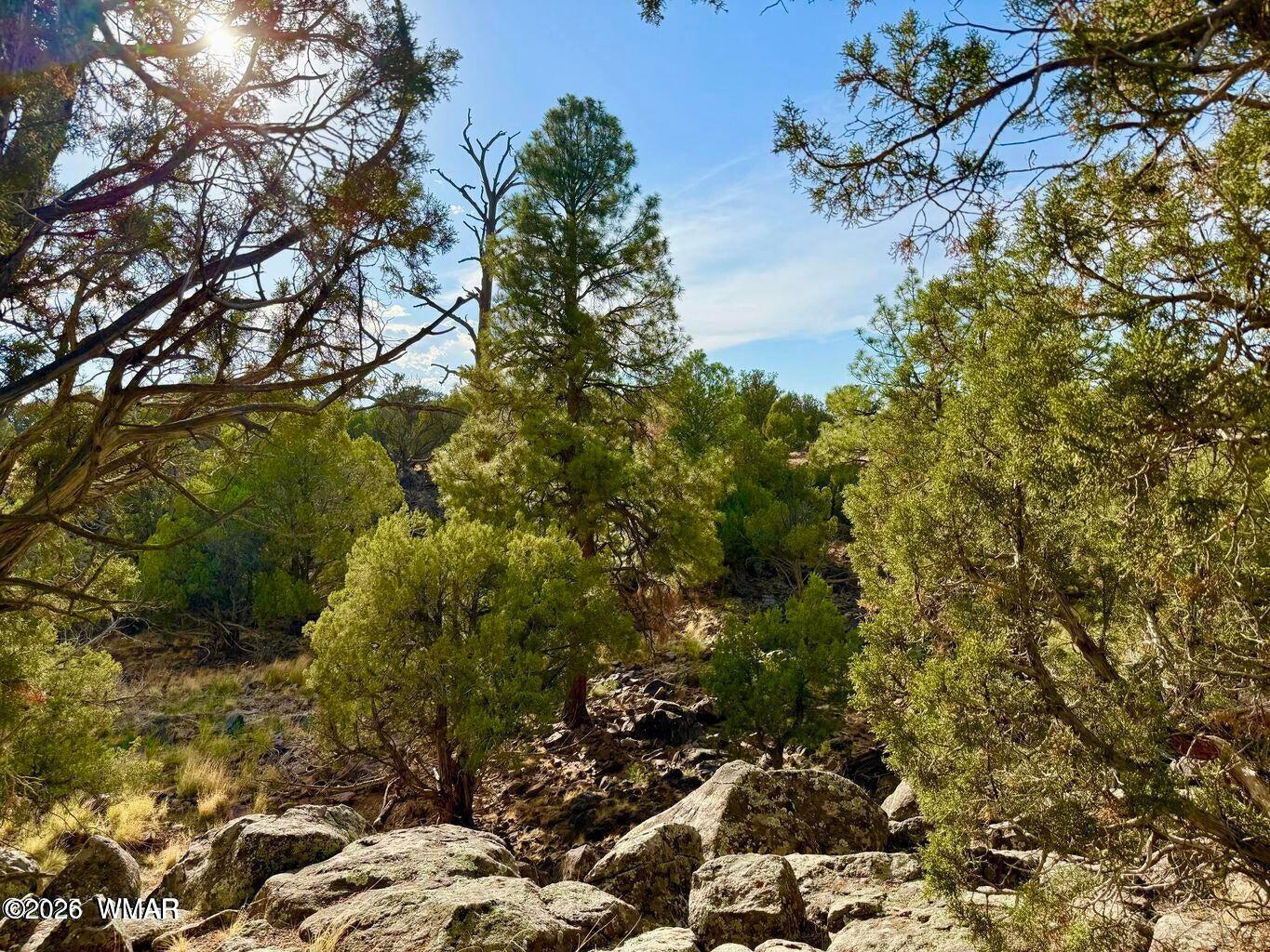 1838 Rocky Bottom Place -, Show Low, AZ 85901 — Photo 1 of 19