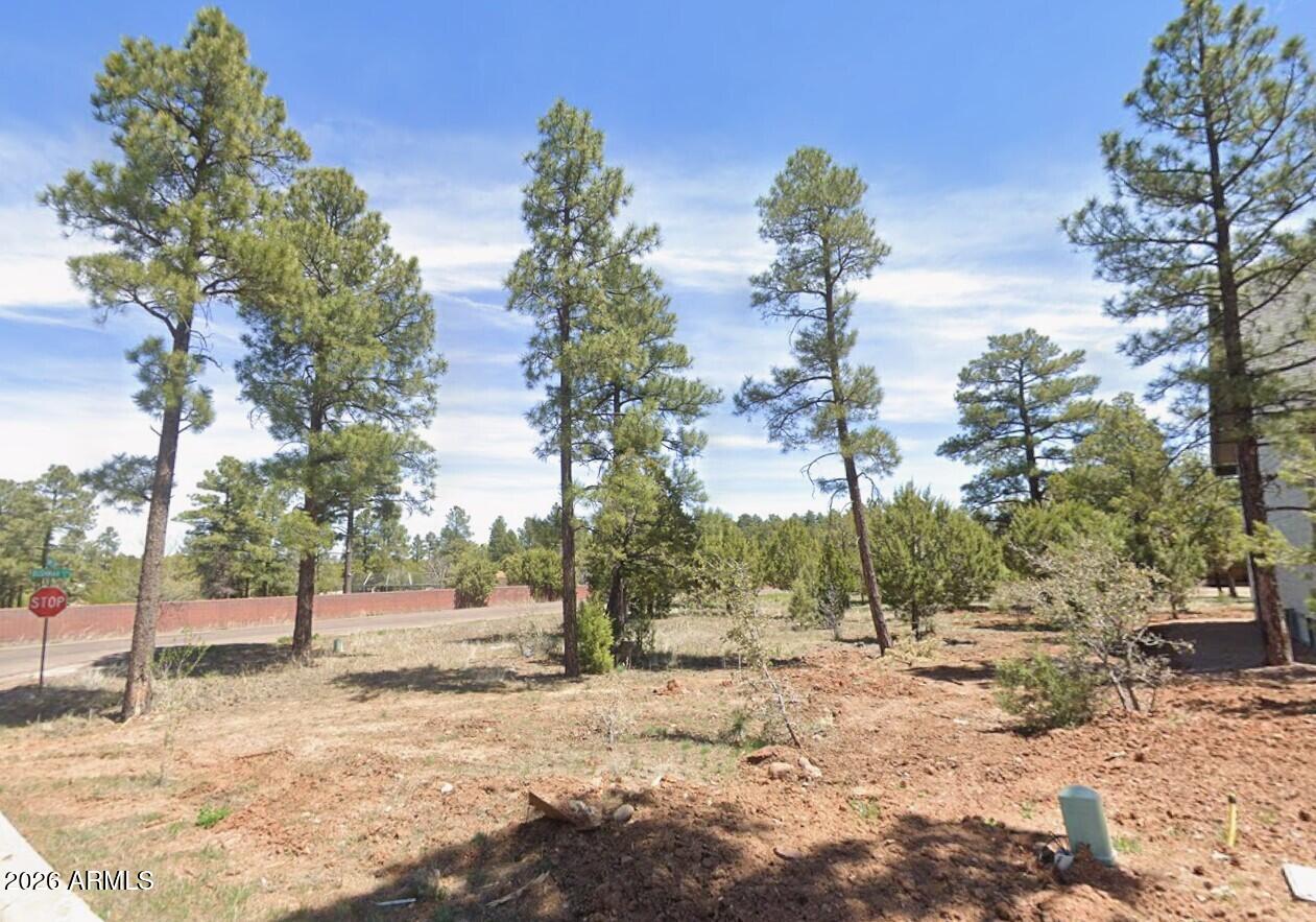 601 S CAMPBELL Lane 66, Show Low, AZ 85901 — Photo 1 of 16