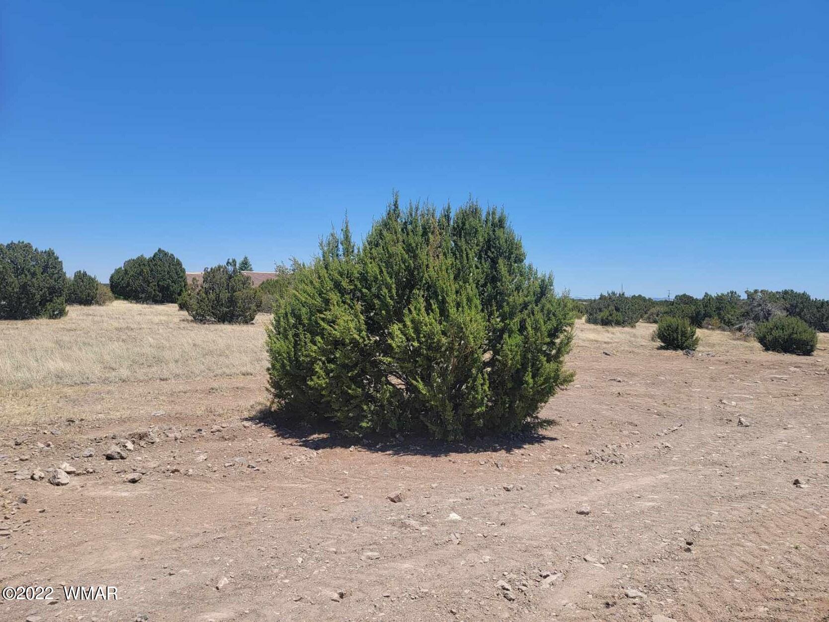 8430 LAKE VIEW Drive 79, Show Low, AZ 85901 — Photo 1 of 6