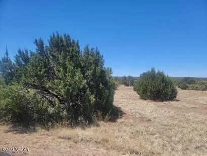 8435 LAKE VIEW Drive 84, Show Low, AZ 85901 — Photo 1 of 2