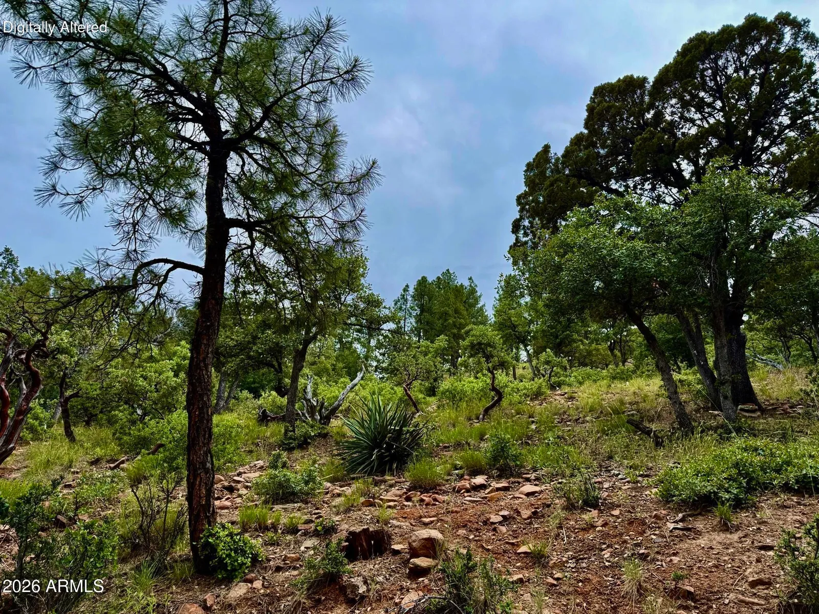 161 N Portal Drive 161, Pine, AZ 85544 — Photo 1 of 36