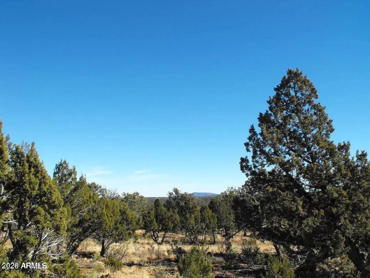 4131 SUNSET RIDGE Loop -, Happy Jack, AZ 86024 — Photo 1 of 2