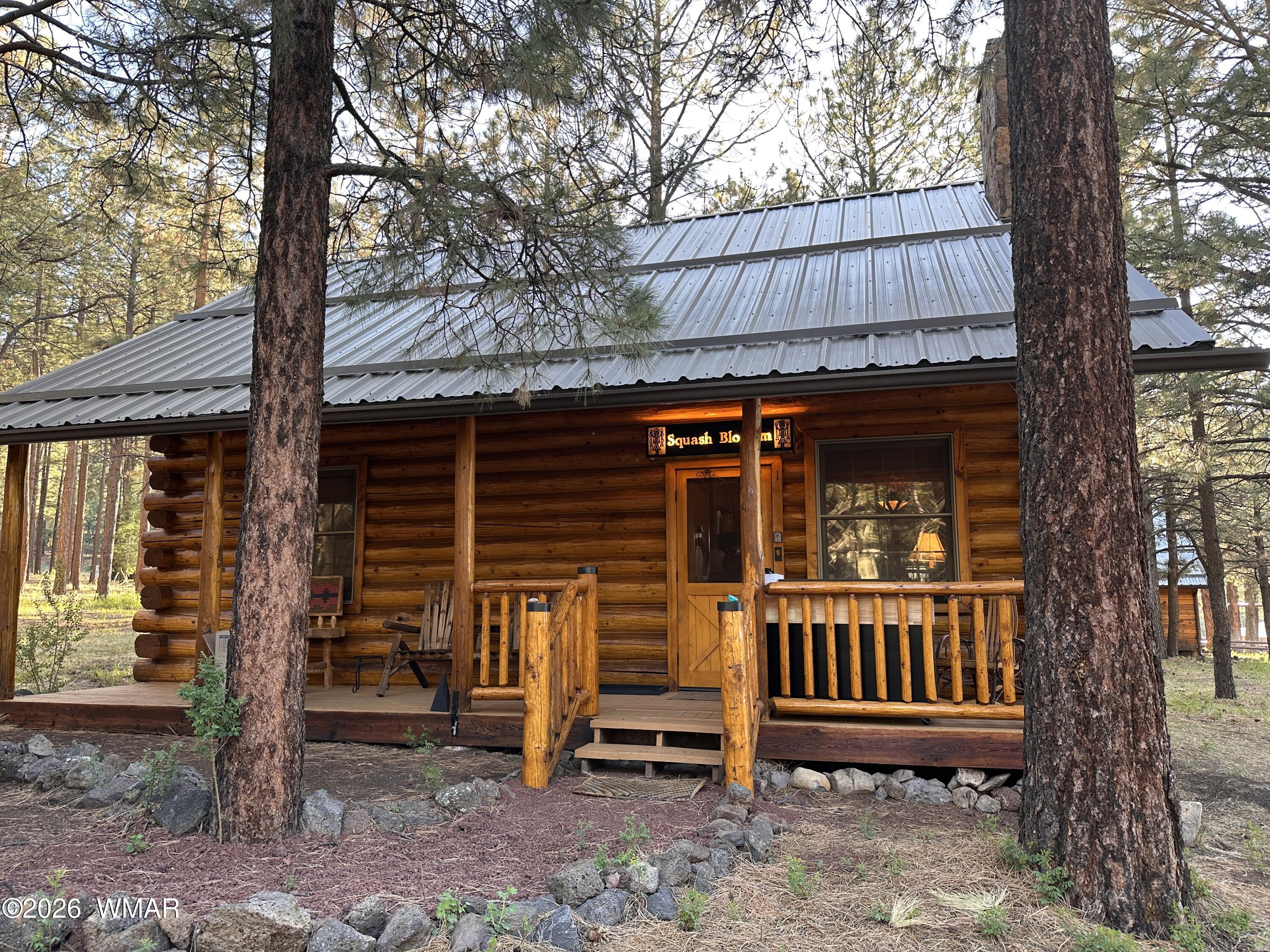 11 North, # 1333, Greer, AZ 85927 — Photo 1 of 49