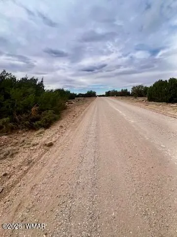 116 Co Rd 8127, Concho, AZ 85924 — Photo 1 of 1