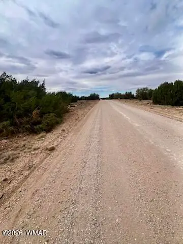 116 Co Rd 8127, Concho, AZ 85924