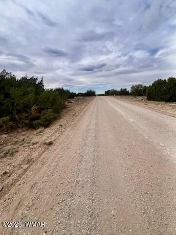 125 Co Rd 8051, Concho, AZ 85924 — Photo 1 of 19