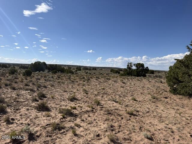 TBD County Rd N7207 -, St Johns, AZ 85936 — Photo 1 of 16