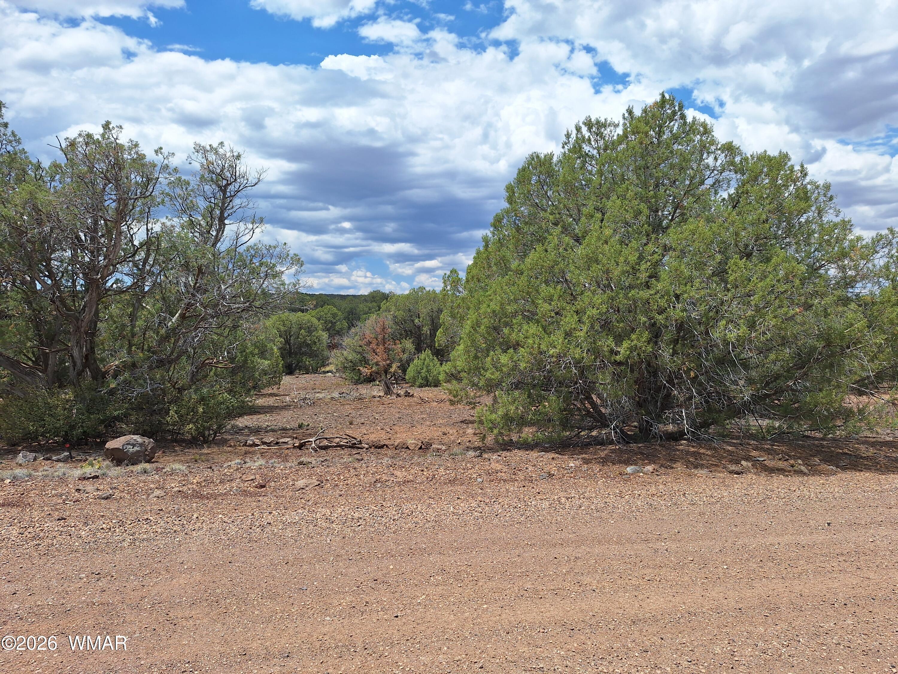 8273 Ridge Drive, Show Low, AZ 85901 — Photo 1 of 15
