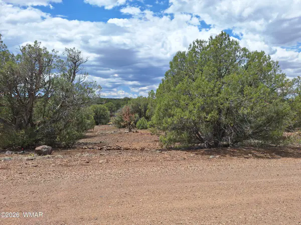 8273 Ridge Drive, Show Low, AZ 85901
