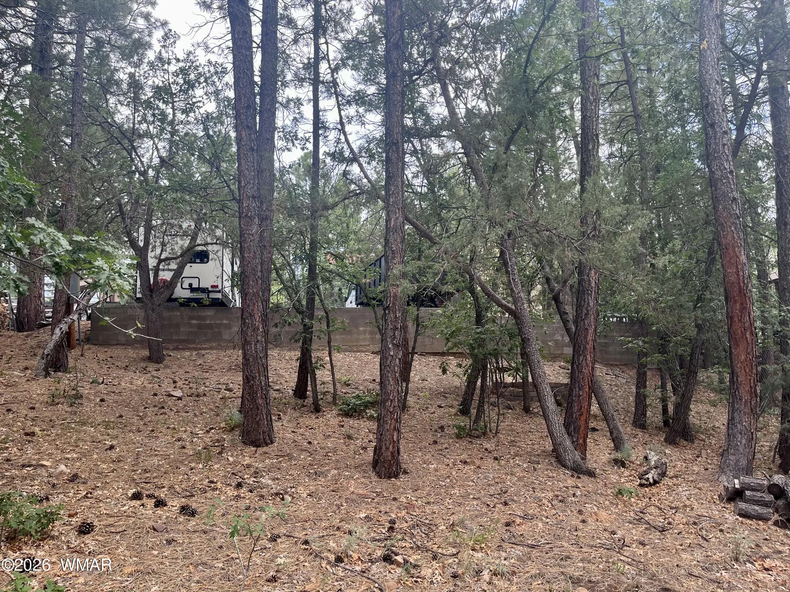 518 S Walnut Creek Loop, Pinetop, AZ 85935 — Photo 1 of 8