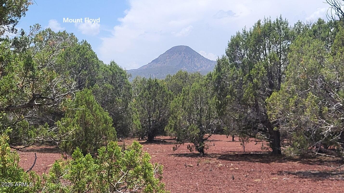 67 Ranch Road 67, Williams, AZ 86046 — Photo 1 of 19
