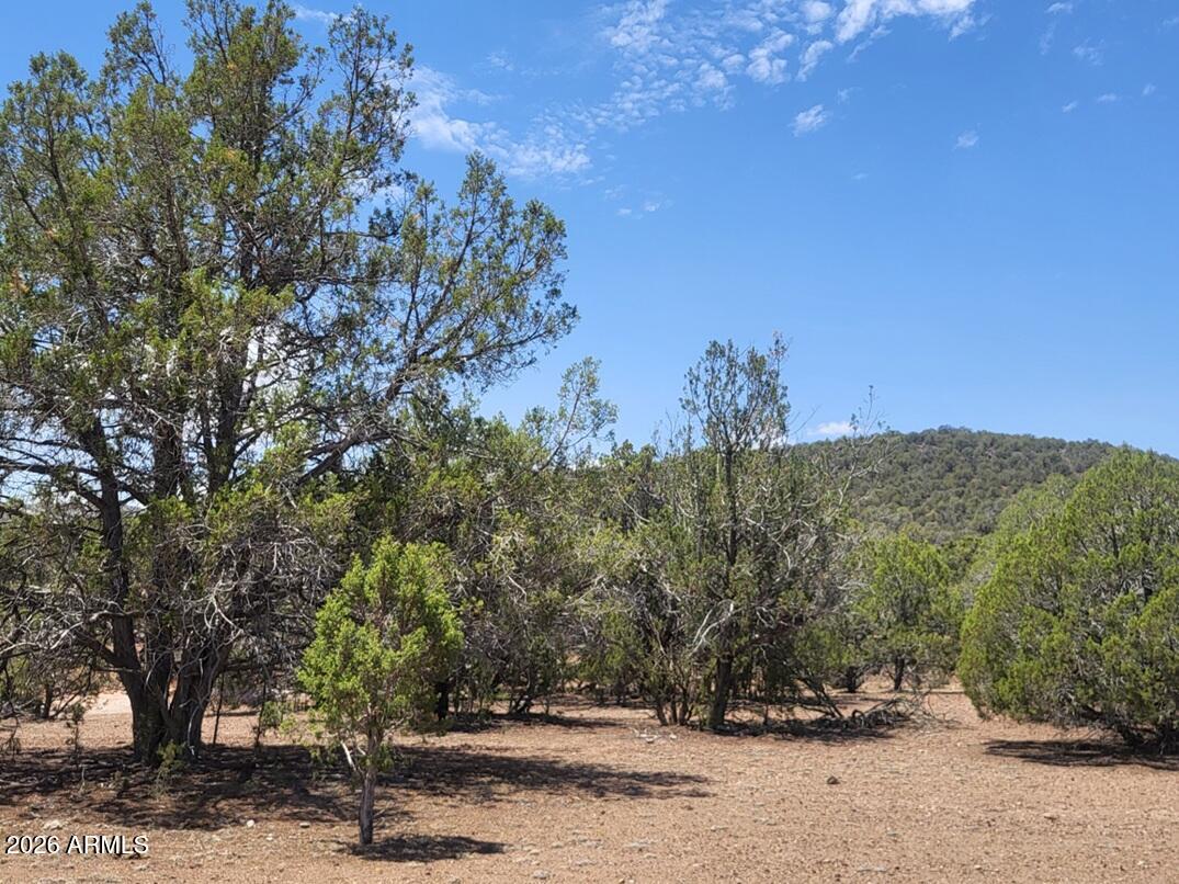 160B Cattle Drive 160, Williams, AZ 86046 — Photo 1 of 13
