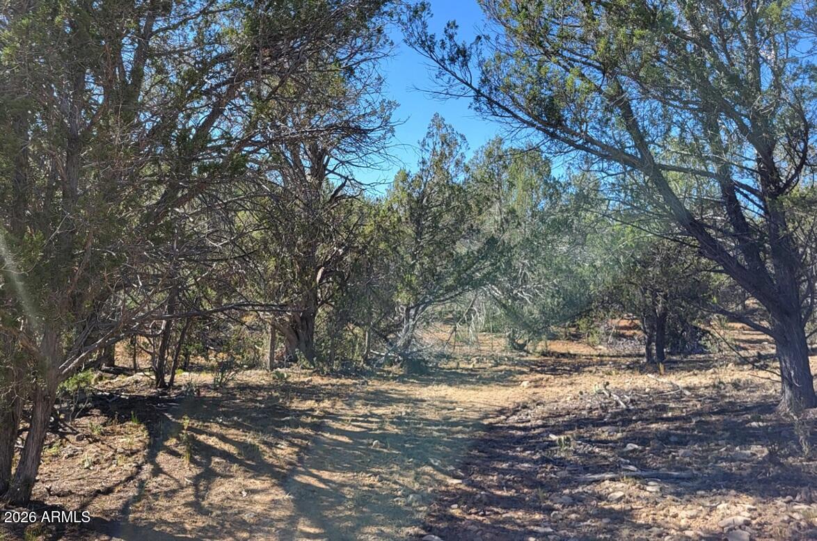 918 WOLF Road 918, Ash Fork, AZ 86320 — Photo 1 of 21