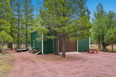 Thumbnail 79