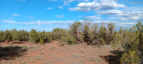 9730 Texas Lane, Show Low, AZ 85901