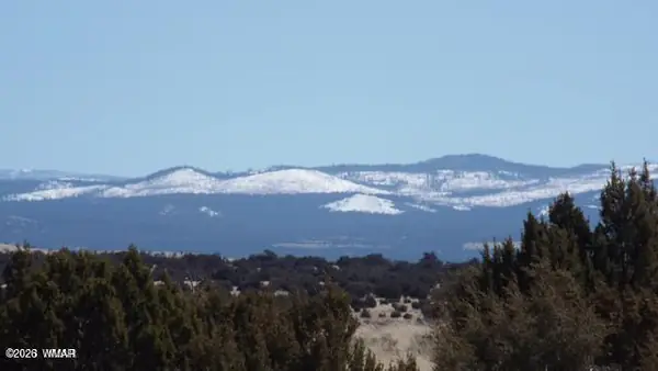 TBD Parcel 107-52-046, Concho, AZ 85924