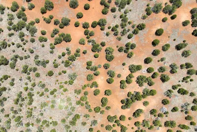 Thumbnail 13