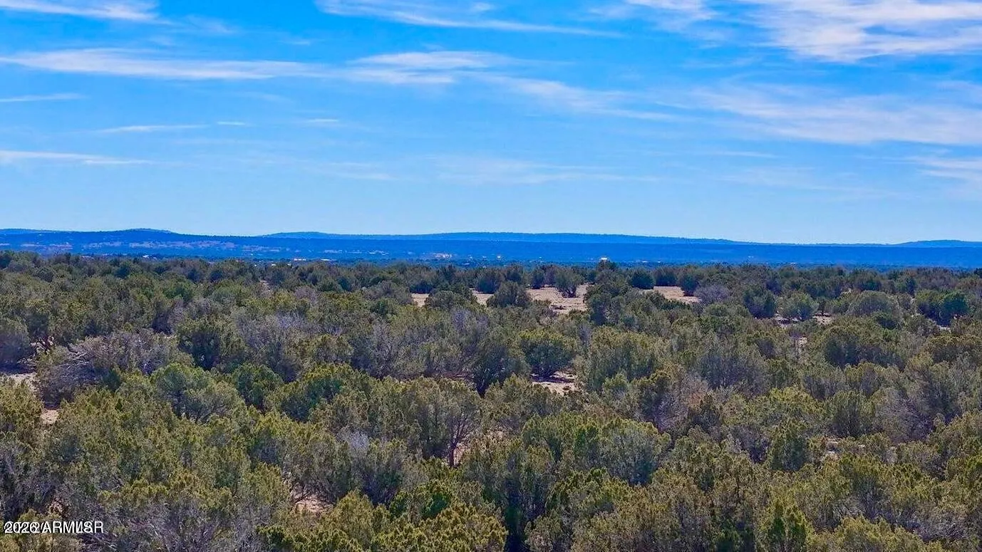 9023 Appaloosa Trail Lots C & E -, Show Low, AZ 85901 — Photo 1 of 1
