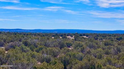 9023 Appaloosa Trail Lots C & E -, Show Low, AZ 85901