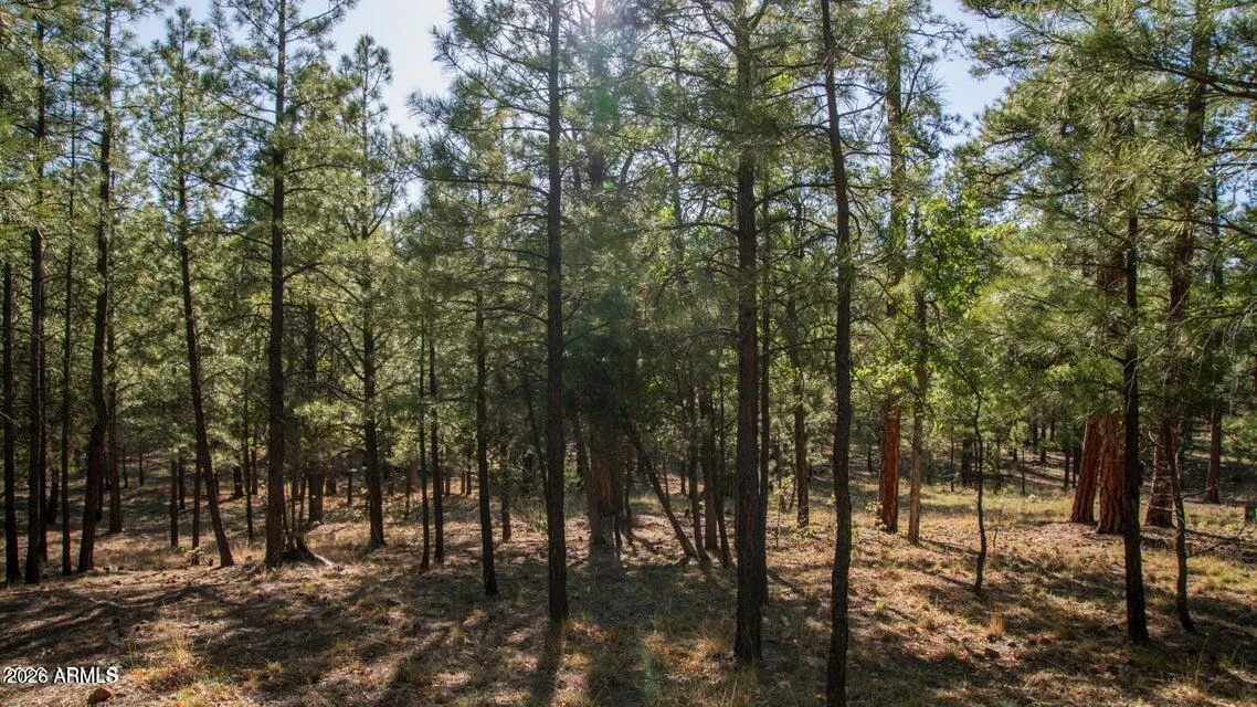 2535 WOODY PINE Drive 87, Happy Jack, AZ 86024 — Photo 1 of 3