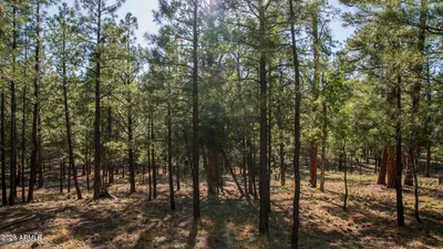 2535 WOODY PINE Drive 87, Happy Jack, AZ 86024