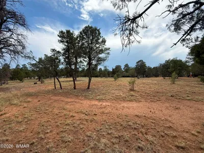 3048 CHEVELON Road 147, Overgaard, AZ 85933