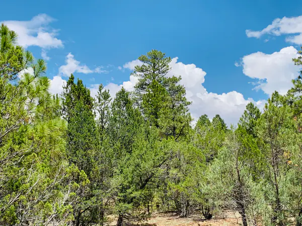 6373 Whispering Pine Drive, Happy Jack, AZ 86024