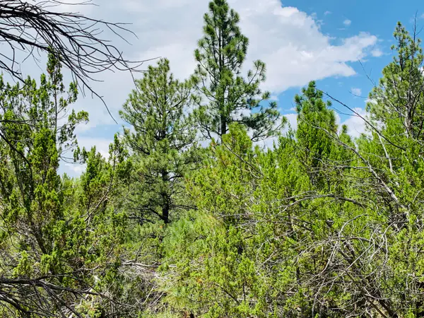 2111 Goshawk Drive, Happy Jack, AZ 86024