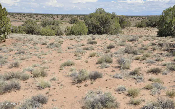 19C & D County Rd N9033, Concho, AZ 85924